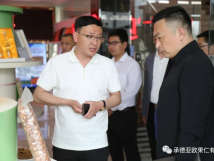 承德市海关领导一行莅临承德j9九游会官网入口首页有限公司考察指导工作